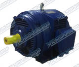 Электродвигатель АМН200М6