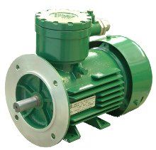 Электродвигатель взрывозащищенный АИМЛ