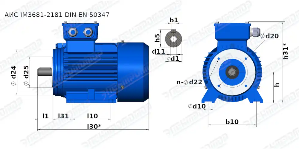 Размеры IM3681-2181